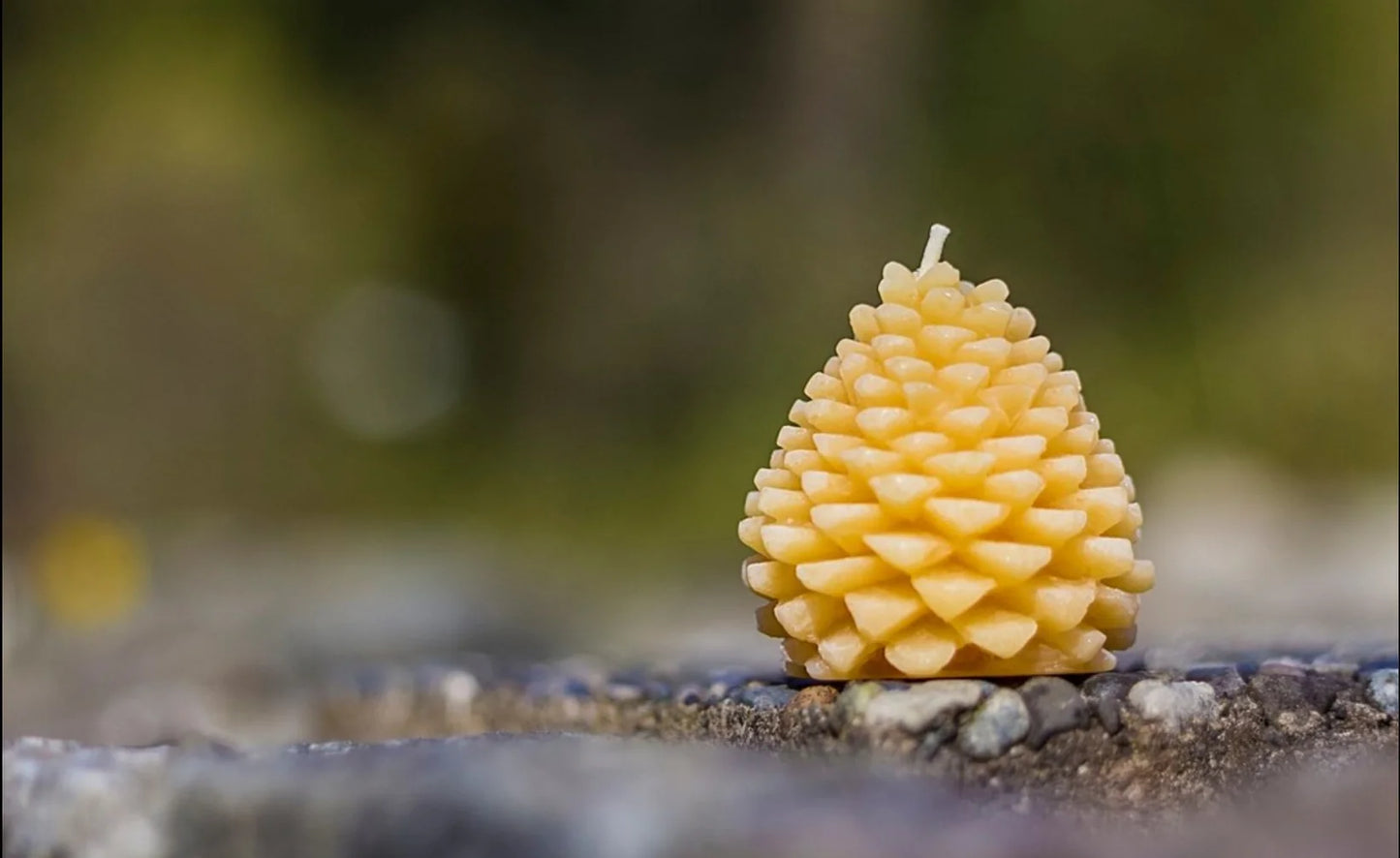Pine Cone Beeswax Candle